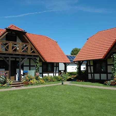Stonka Chłopy